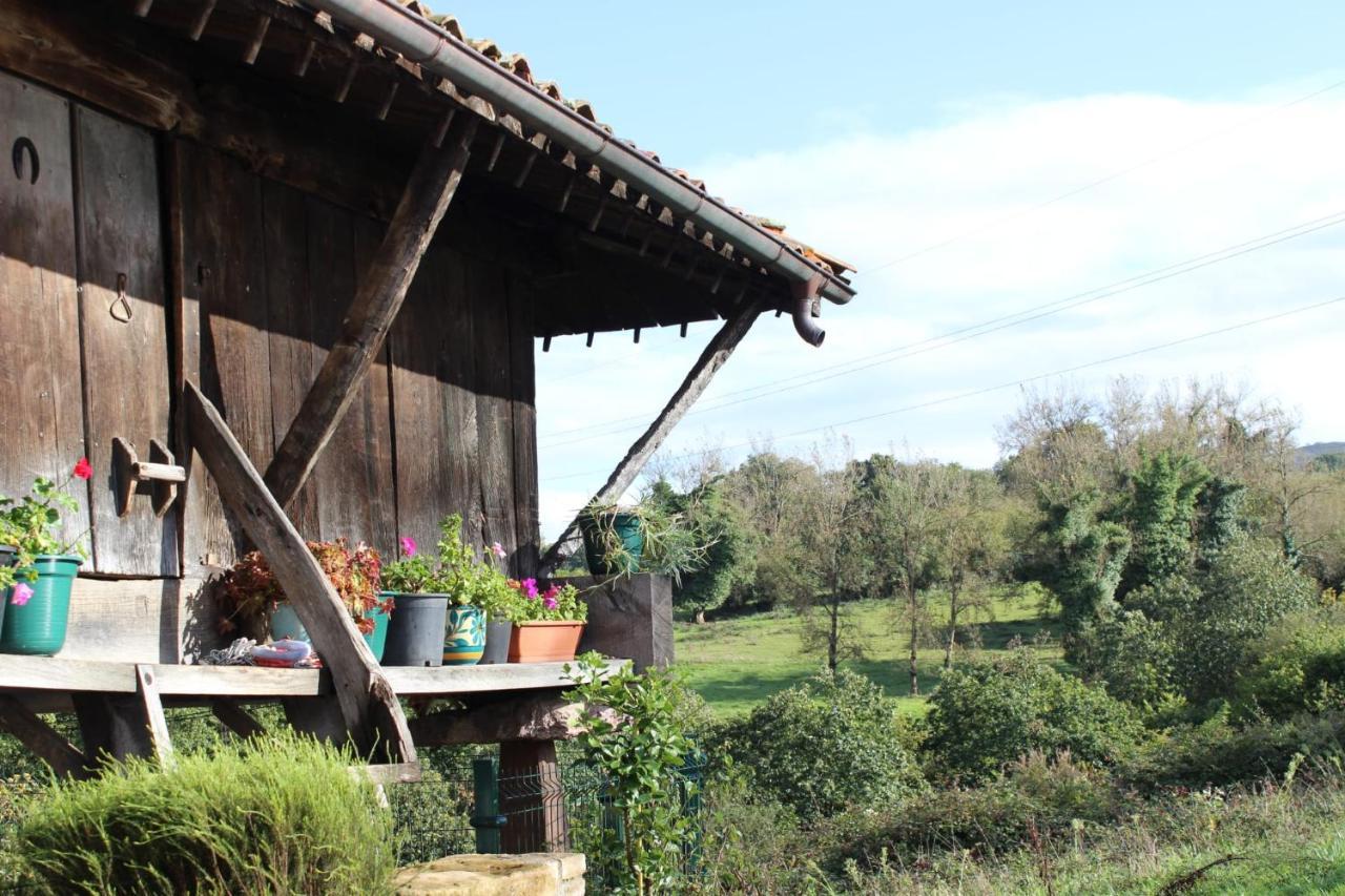 Casa Pepin - Sagasta Rural Oviedo Pensionat Eksteriør billede