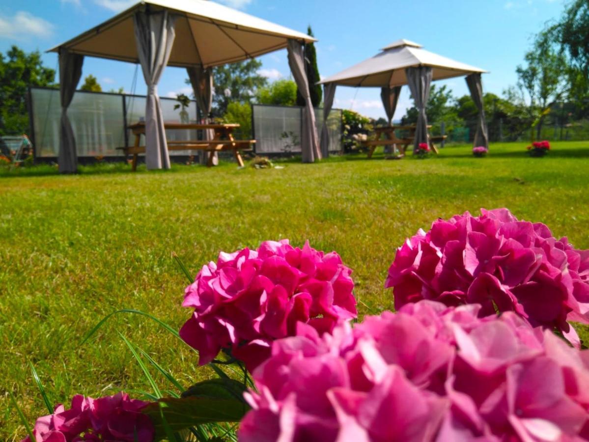 Casa Pepin - Sagasta Rural Oviedo Pensionat Eksteriør billede